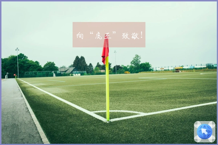 向“虎王”致敬！
