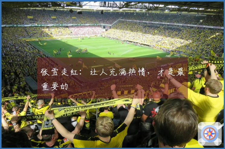 张雪走红：让人充满热情，才是最重要的
