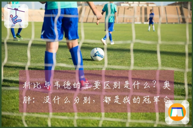 科比与韦德的主要区别是什么？奥胖：没什么分别，都是我的冠军合伙人