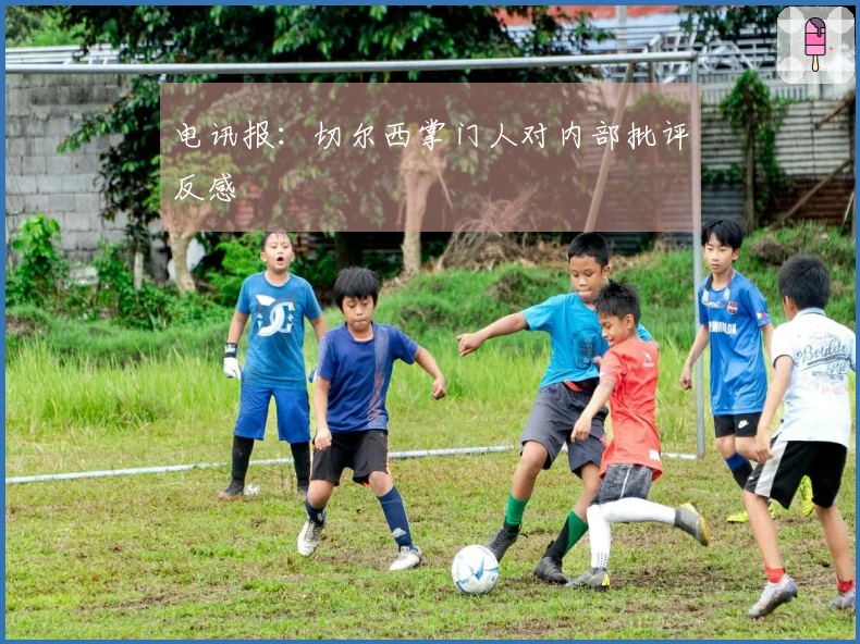 电讯报：切尔西掌门人对内部批评反感
