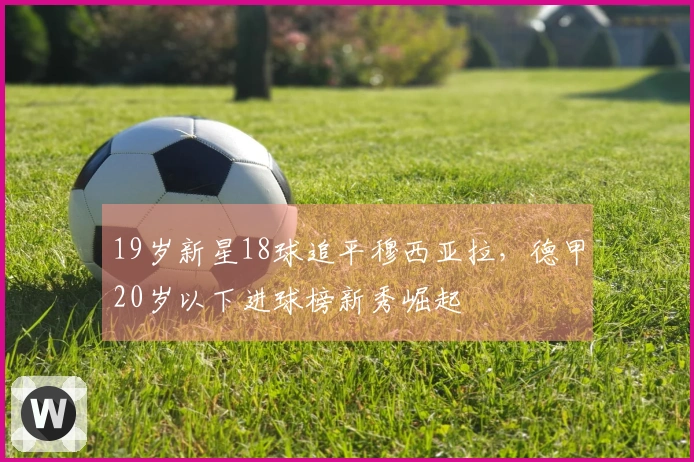 19岁新星18球追平穆西亚拉，德甲20岁以下进球榜新秀崛起