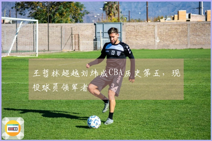 王哲林超越刘炜成CBA历史第五，现役球员领军者