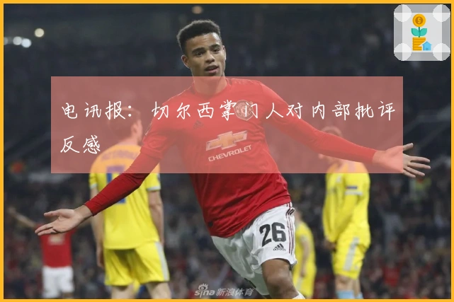 电讯报：切尔西掌门人对内部批评反感