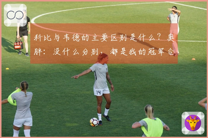 科比与韦德的主要区别是什么？奥胖：没什么分别，都是我的冠军合伙人